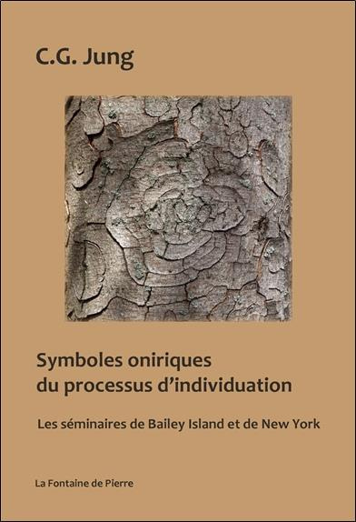 symboles-oniriques-du-processu_0