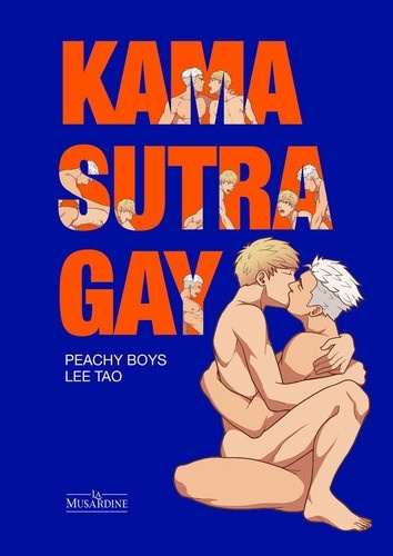 tao-peachy-boys-kama-sutra-gay-edition-souple_0