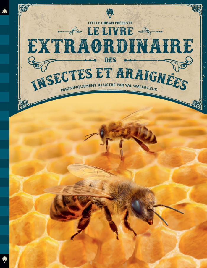 taylor-barbara-3b-walerczuk-val-3b-gros-emmanuel-le-livre-extraordinaire-des-insectes-et-araignees_0