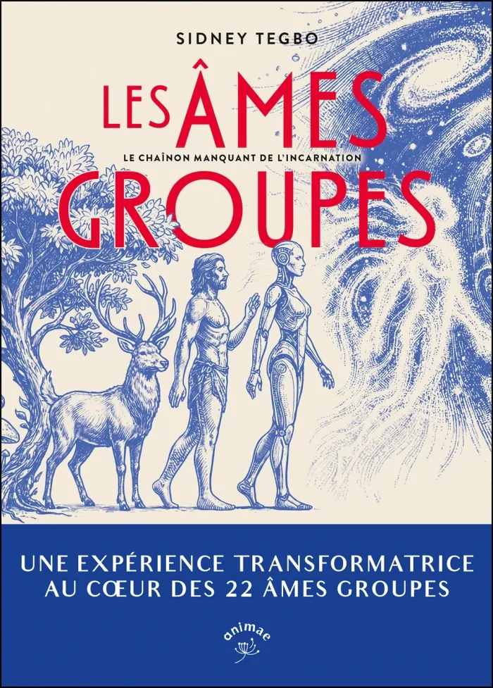 tegbo-sidney-les-ames-groupes_0