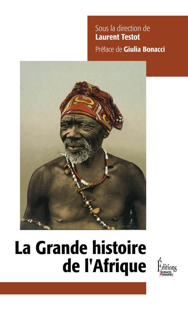 testot-laurent-la-grande-histoire-de-l-afrique_0