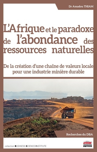 thiam-amadou-l-afrique-et-le-paradoxe-de-l-abondance-des-ressources-naturelles-de-la-creation-d-une-chaine-de-va_0