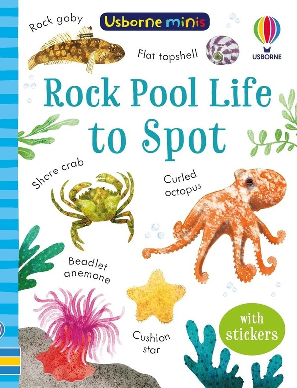 tudhope-rock-pool-life-to-spot_0