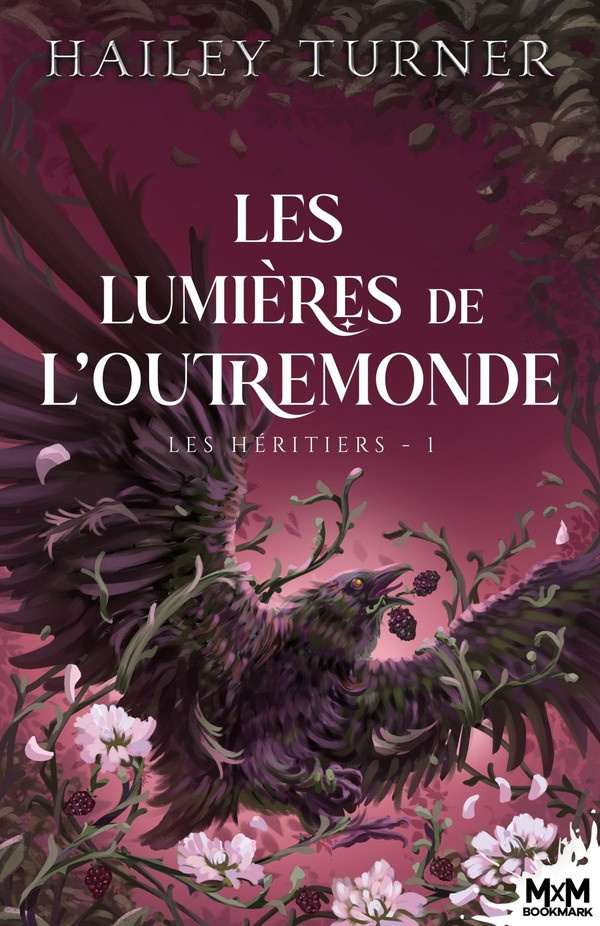 turner-hailey-les-heritiers-t01-les-lumieres-de-l-outremonde-les-heritiers-t1_0