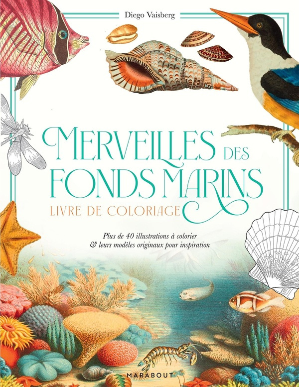 vaisberg-diego-merveilles-des-fonds-marins-plus-de-40-illustrations-a-colorier-leurs-modeles-originaux-pour-insp_0