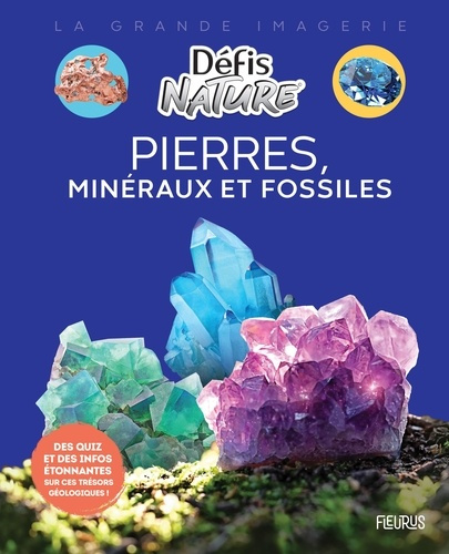 vallot-damien-pierres-mineraux-et-fossiles_0