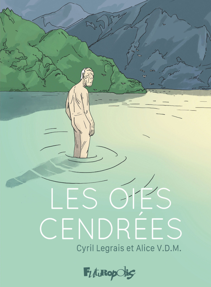 vdm-legrais-les-oies-cendrees_0