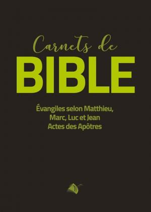 version-segond-1910-carnet-de-bible_0