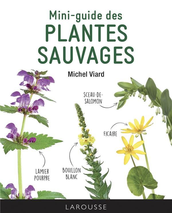 viard-michel-mini-guide-des-plantes-sauvages_0