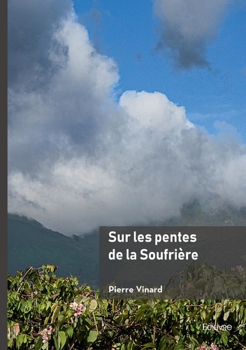 vinard-pierre-sur-les-pentes-de-la-soufriere_0