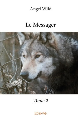 wild-angel-le-messager-tome-2-tome-2_0