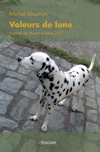 wild-angel-voleurs-de-lune-journal-de-fevrier-a-aout-2019_0
