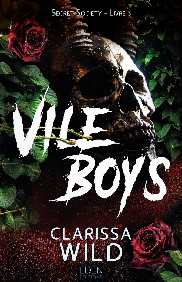 wild-clarissa-secret-society-t3-vile-boys_0