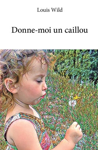 wild-louis-donne-moi-un-caillou_0
