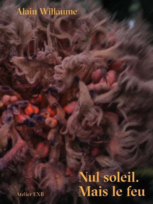 willaume-alain-nul-soleil-mais-le-feu_0