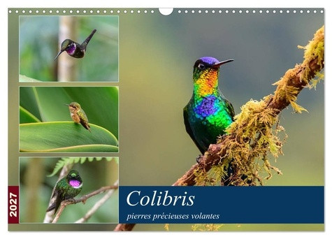 wohlke-jurgen-colibris-pierres-precieuses-volantes-cal-les-colibris-du-costa-rica-et_0