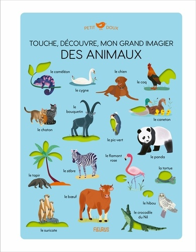 wortemann-claire-touche-decouvre-mon-grand-imagier-des-animaux_0