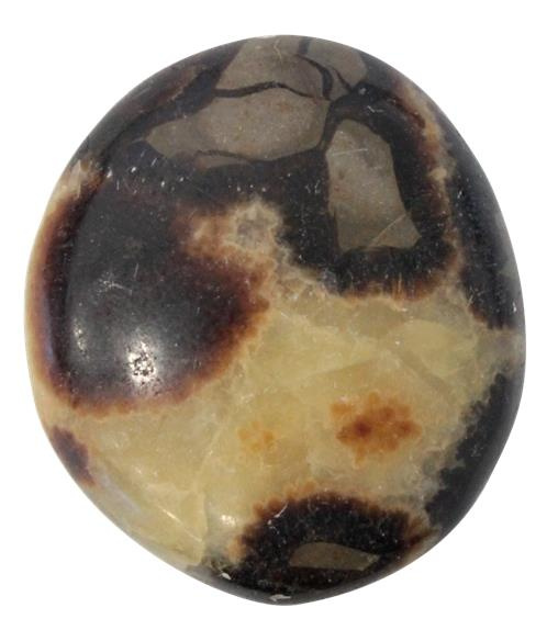 xxx-galet-septaria-piece-de-4-a-6-cm_0