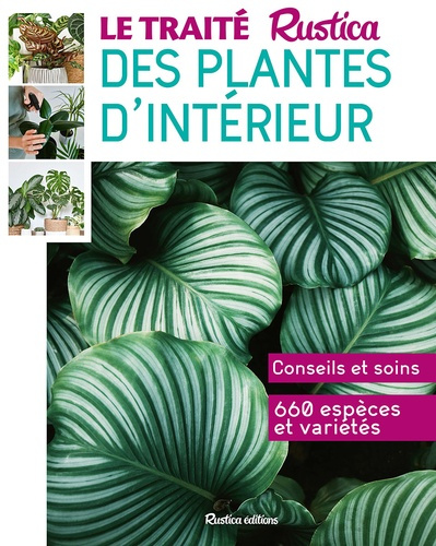 xxx-le-traite-rustica-des-plantes-d-interieur_0