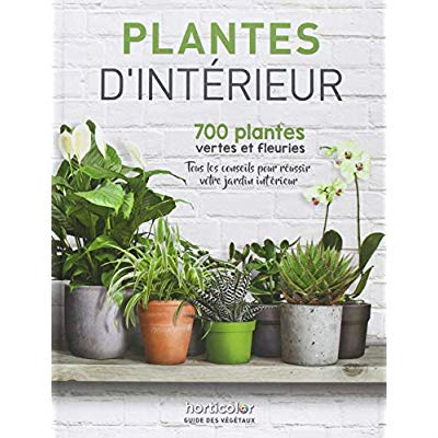 xxx-plantes-d-interieur_0