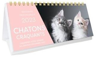 xxx-semainier-panoramique-chatons-craquants-edition-2023_0