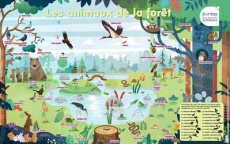 Les animaux de la forêt - FRANCESCON NICOLAS