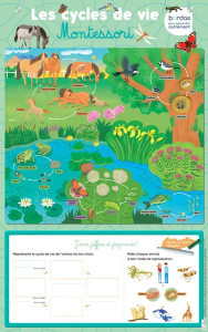 LES POSTERS EFFACABLES - LES CYCLES DE VIE MONTESSORI - CHIODO VIRGINIE