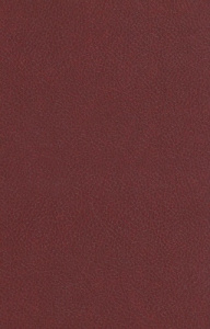 LE ROMAN EN PROSE DE TRISTAN, LE ROMAN DE PALAMEDE, ET LA COMPILATION DE RUSTICIEN DE PISE. ANALYSE - LOSETH EILERT