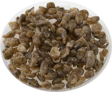 ENCENS RARE : LA PRECIEUSE - SACHET DE 50 GRAMMES