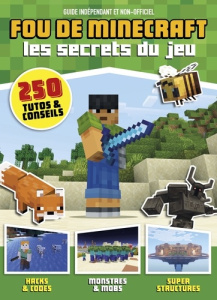 Fou de Minecraft. Les secrets du jeu - TURBULENCES PRESSE
