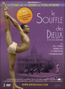 LE SOUFFLE DES DIEUX - UN VOYAGE VERS LES ORIGINES DU YOGA MODERNE - SCHMIDT-GARRE JAN