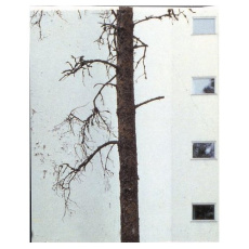 AALTO ALVAR - JALANDER Y