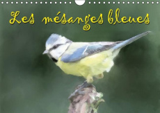 LES MESANGES BLEUES CALENDRIER MURAL 2016 DIN A4 HORIZONTAL - SUDPASTEL