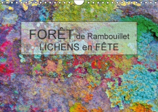 FORET DE RAMBOUILLET LICHENS EN FETE CALENDRIER MURAL 2016 DIN A4 HORIZONTAL - BOHIN J