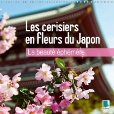 LA BEAUTE EPHEMERE LES CERISIERS EN FLEURS DU JAPON CALENDRI - LES FLEURS DU PRINTEMPS CALEND - CALVENDO
