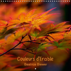 COULEURS D ERABLE CALENDRIER MURAL 2018 300 300 MM SQUARE - LES FORMES GRACILES ET LES COU - BIEWER B