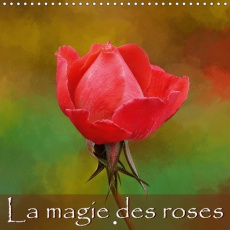 LA MAGIE DES ROSES CALENDRIER MURAL 2018 300 300 MM SQUARE - SERIE DE TABLEAUX DE ROSES CAL - SUDPASTEL