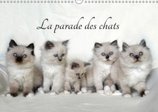 LA PARADE DES CHATS CALENDRIER MURAL 2018 DIN A3 HORIZONTAL - MOIS APRES MOIS UN NOUVEAU CER - CHRYSTAL J