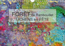 FORET DE RAMBOUILLET LICHENS EN FETE CALENDRIER MURAL 2018 D - DANS LA FORET DE RAMBOUILLET G - BOHIN J