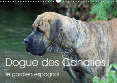 DOGUE DES CANARIES LE GARDIEN ESPAGNOL CALENDRIER MURAL 2018 - CHIEN DE RACE ESPAGNOLE ORIGIN - WOBST P