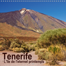 TENERIFE - L'ILE DE L'ETERNEL PRINTEMPS (CALENDRIER MURAL 2019 300 * 300 MM SQUARE) - UN VOYAGE PHOT - ERGLER ANJA