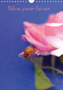 REVE POUR L'HIVER (CALENDRIER MURAL 2019 DIN A4 VERTICAL) - LES FLEURS DU PRINTEMPS SONT LES REVES D - KHIRI QAHWADJI AMAL