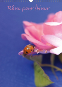 REVE POUR L'HIVER (CALENDRIER MURAL 2019 DIN A3 VERTICAL) - LES FLEURS DU PRINTEMPS SONT LES REVES D - KHIRI QAHWADJI AMAL