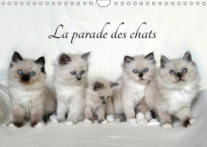LA PARADE DES CHATS (CALENDRIER MURAL 2019 DIN A4 HORIZONTAL) - MOIS APRES MOIS, UN NOUVEAU CERCLE D - CHRYSTAL JENNIFER