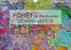 FORET DE RAMBOUILLET - LICHENS EN FETE (CALENDRIER MURAL 2019 DIN A4 HORIZONTAL) - DANS LA FORET DE - BOHIN JEAN-LUC