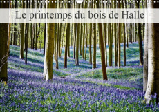 LE PRINTEMPS DU BOIS DE HALLE (CALENDRIER MURAL 2019 DIN A3 HORIZONTAL) - HALLERBOS, LA FORET FEERIQ - PATRICK BOMBAERT