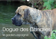 DOGUE DES CANARIES LE GARDIEN ESPAGNOL (CALENDRIER MURAL 2019 DIN A3 HORIZONTAL) - CHIEN DE RACE ESP - WOBST PETRA