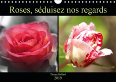 ROSES, SEDUISEZ NOS REGARDS (CALENDRIER MURAL 2019 DIN A4 HORIZONTAL) - DIVERS COLORIS DE ROSES (CAL - BRILLARD THIERRY