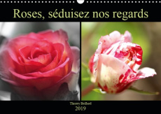 ROSES, SEDUISEZ NOS REGARDS (CALENDRIER MURAL 2019 DIN A3 HORIZONTAL) - DIVERS COLORIS DE ROSES (CAL - BRILLARD THIERRY