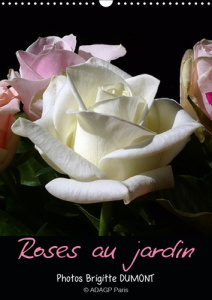 ROSES AU JARDIN (CALENDRIER MURAL 2019 DIN A3 VERTICAL) - PROMENADE SOUS LES ROSIERS AU SOLEIL DU MI - DUMONT BRIGITTE
